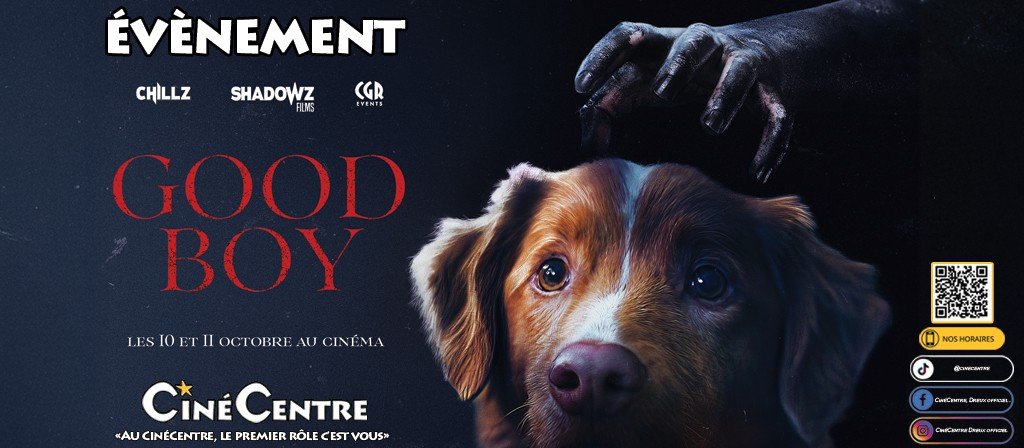 actualité Good boy