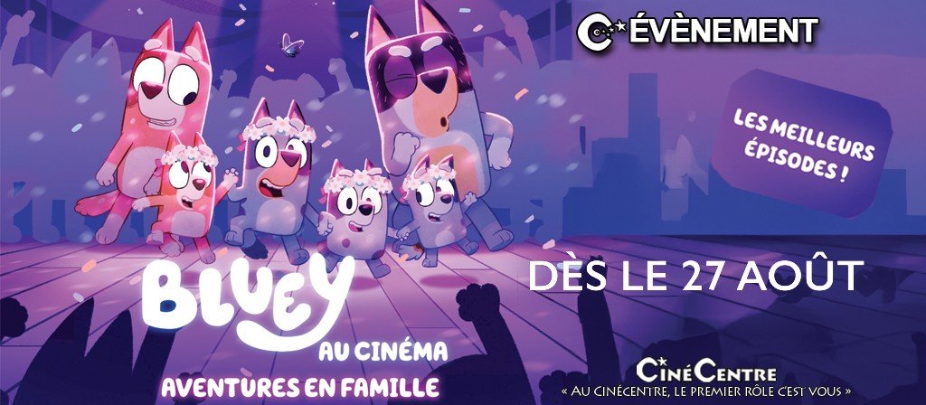 actualité Bluey